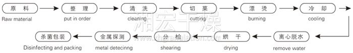 脫水蔬菜帶式干燥工藝流程